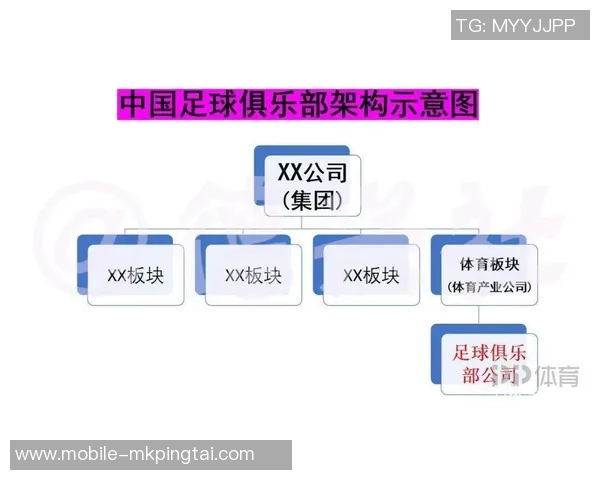 实时新闻深圳足球队技术对比深度解析与发展趋势探讨